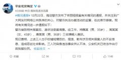 3人发布佟丽娅谣言被行政拘留